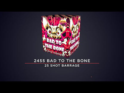 Bad to the bone