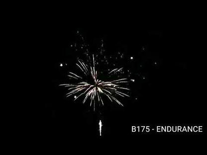 Endurance